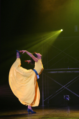 �t���[��